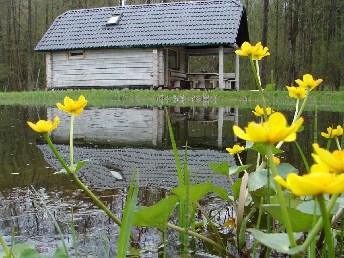 Дома для отпуска White homestead Semeliškės-26