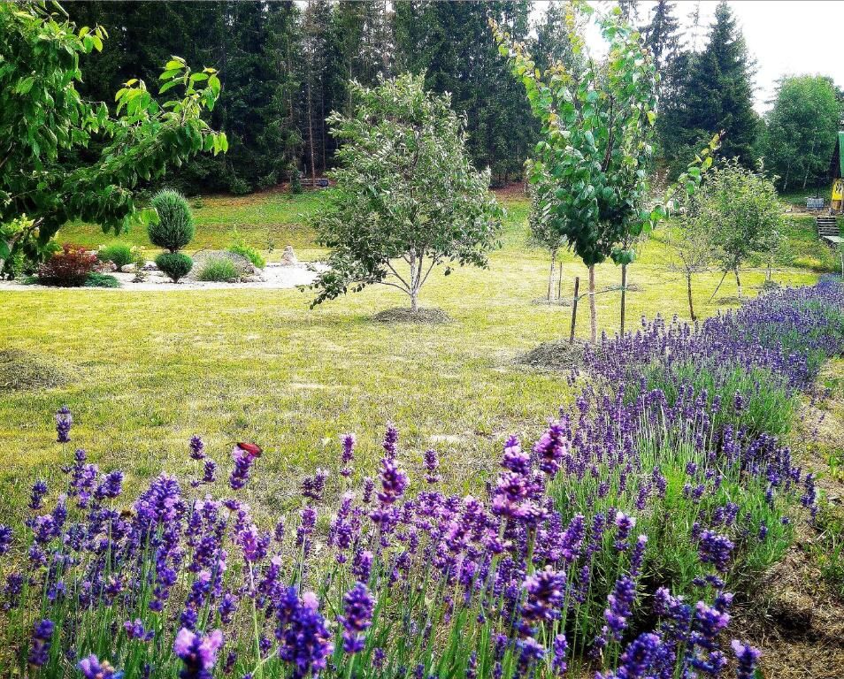 Дома для отпуска White homestead Semeliškės