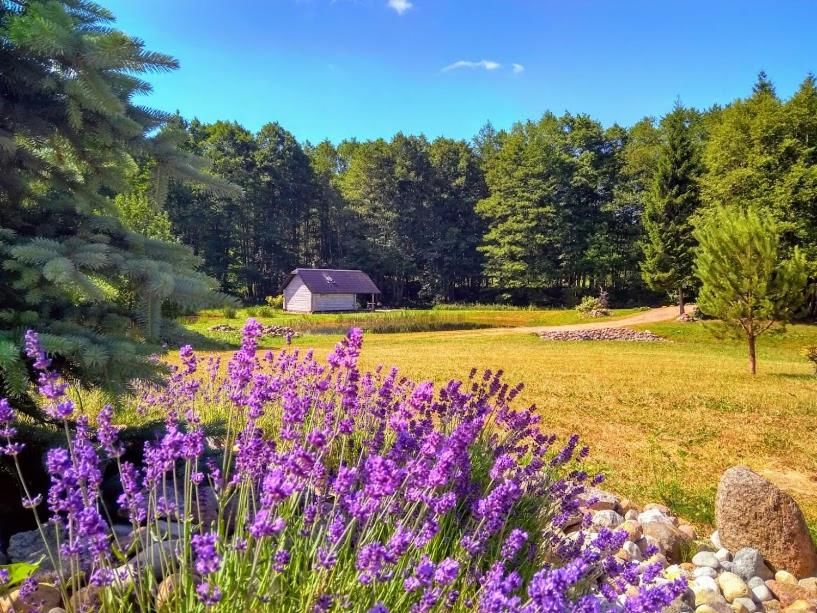 Дома для отпуска White homestead Semeliškės-59