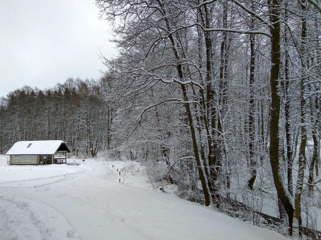 Дома для отпуска White homestead Semeliškės-63