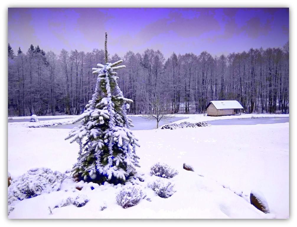 Дома для отпуска White homestead Semeliškės-65